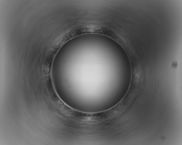 X0000113990657200910021224