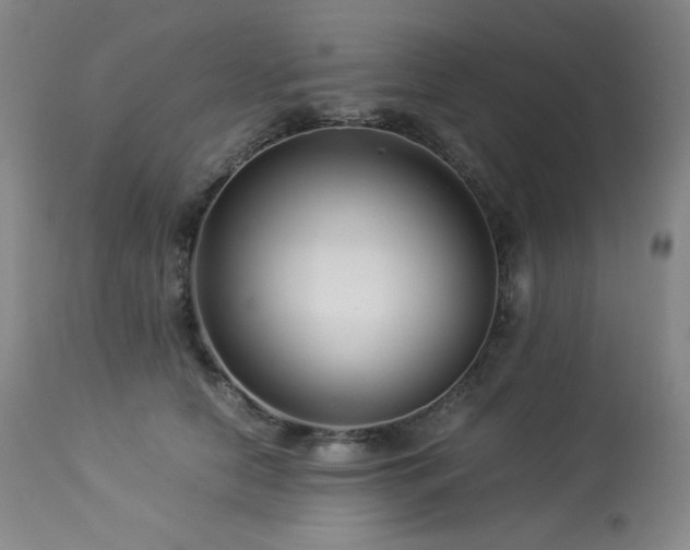 X0000113990658200910021224