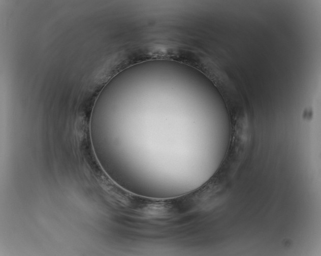 X0000113990659200910021224