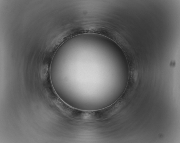 X0000113990660200910021224