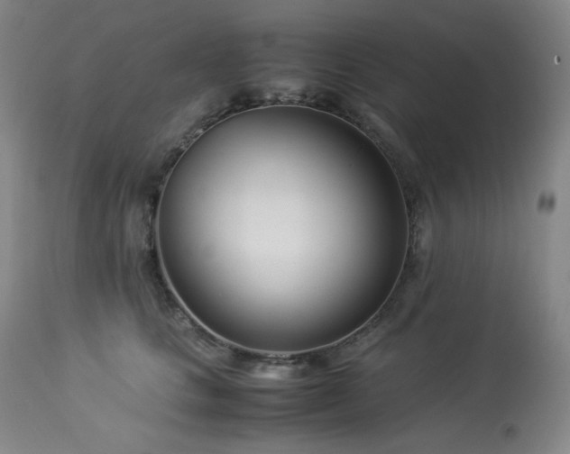 X0000113990661200910021224