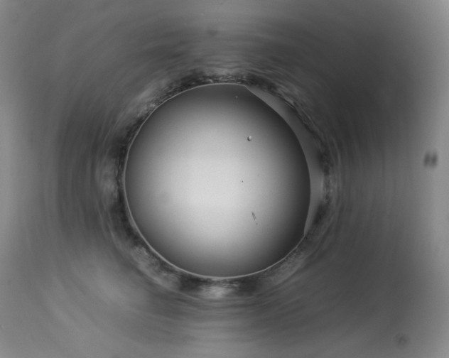 X0000113990662200910021224