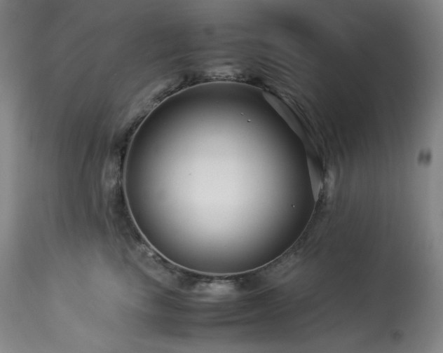 X0000113990665200910021224