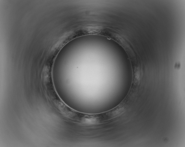 X0000113990667200910021224