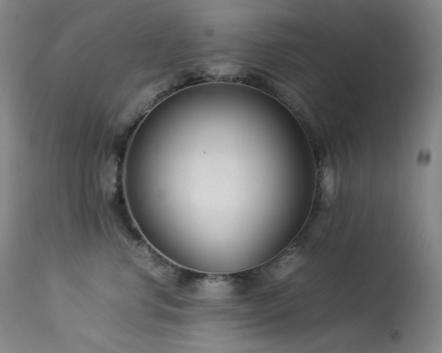 X0000113990668200910021224