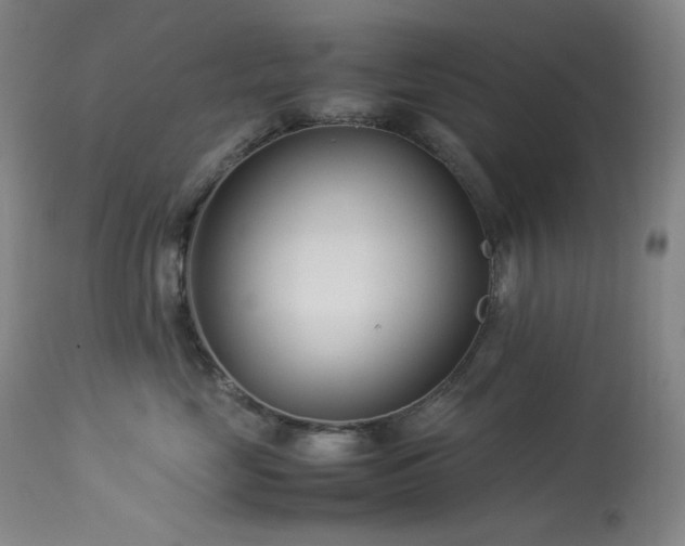 X0000113990669200910021224