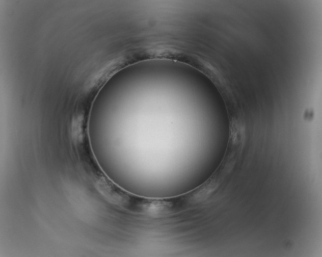 X0000113990670200910021224