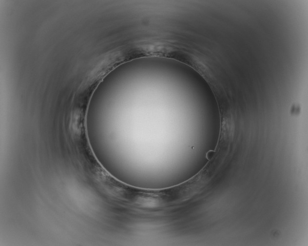 X0000113990671200910021224