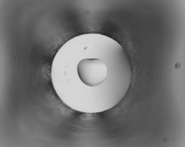 X0000113990672200910021224