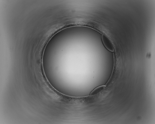 X0000113990673200910021223