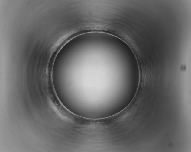 X0000113990674200910021223