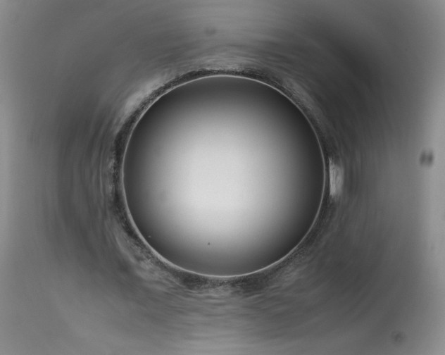 X0000113990675200910021223