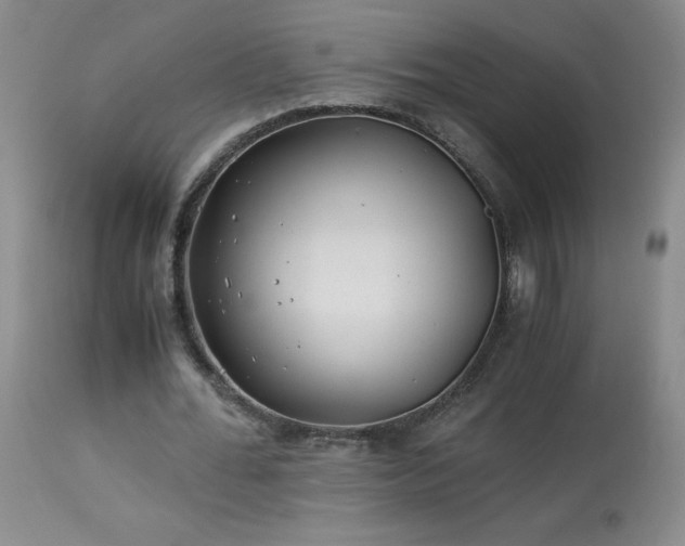 X0000113990676200910021223