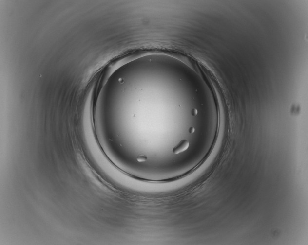 X0000113990677200910021223