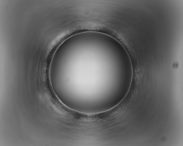 X0000113990679200910021223