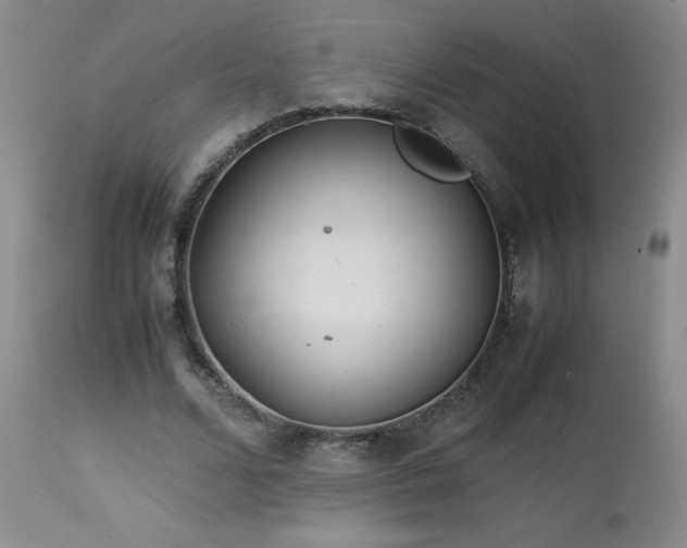 X0000113990680200910021223