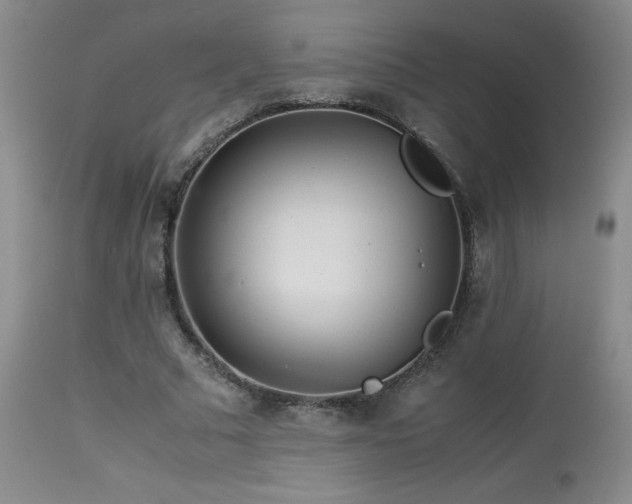 X0000113990681200910021223