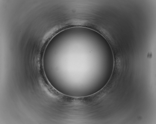 X0000113990682200910021223