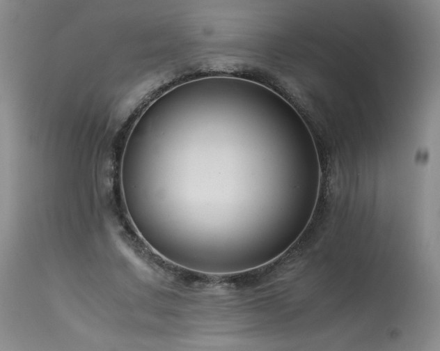 X0000113990683200910021223