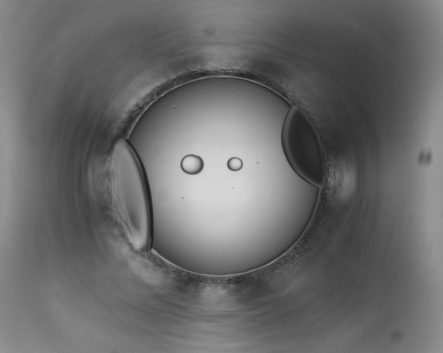 X0000113990684200910021223