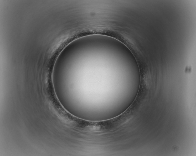 X0000113990687200910021223