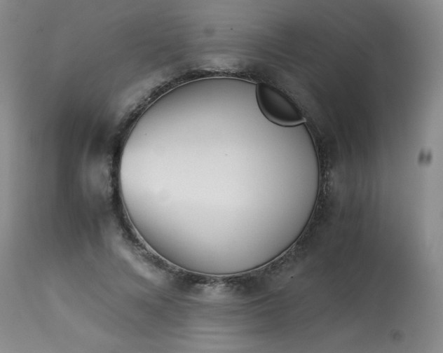 X0000113990688200910021223