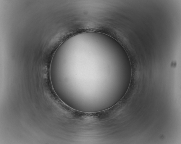 X0000113990689200910021223