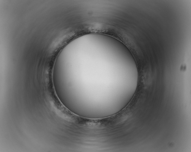 X0000113990690200910021223