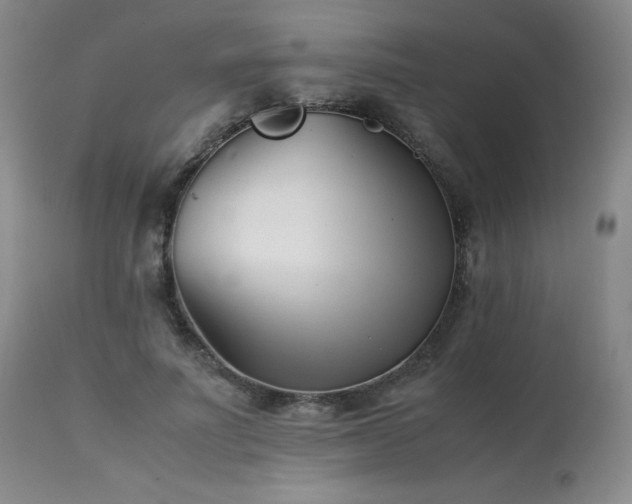 X0000113990691200910021223