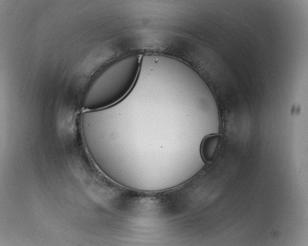 X0000113990692200910021223