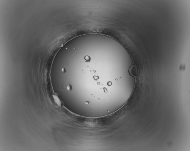 X0000113990693200910021223