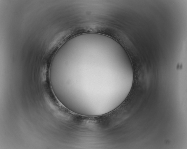 X0000113990694200910021223