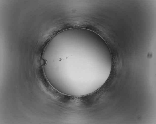 X0000113990695200910021223