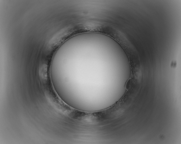 X0000113990696200910021223