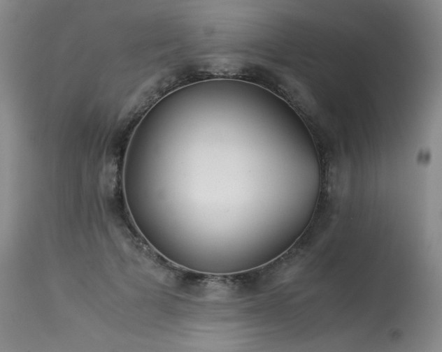 X0000113990697200910021223