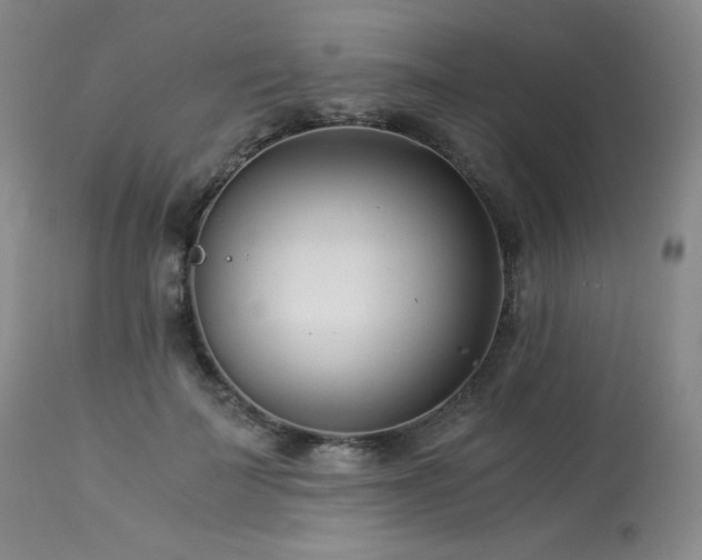 X0000113990699200910021223