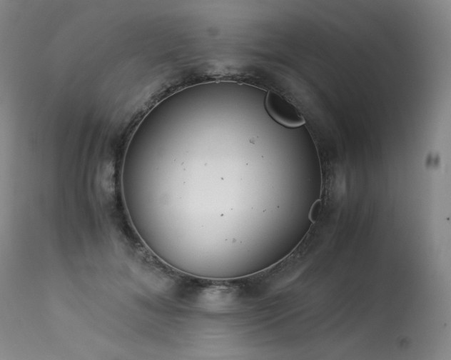 X0000113990700200910021223