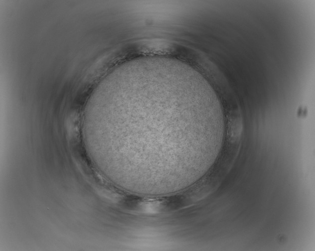 X0000113990701200910021223