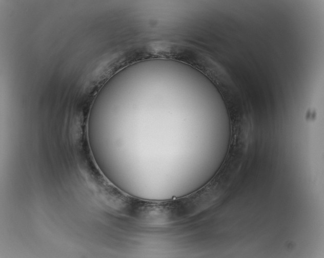 X0000113990702200910021223