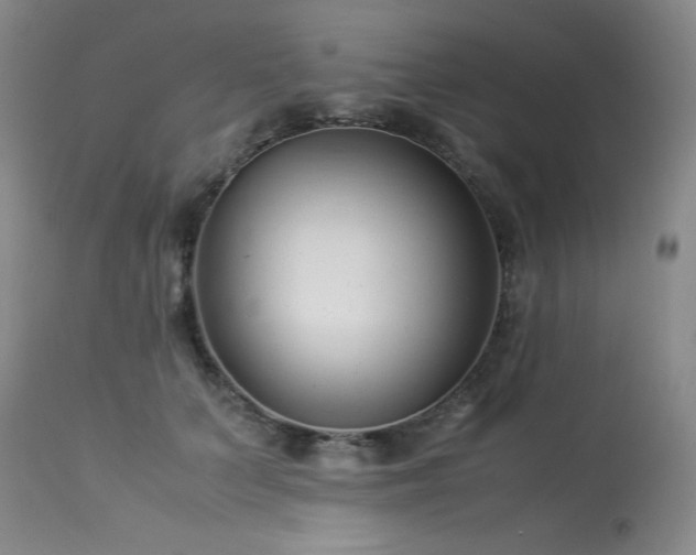 X0000113990703200910021223