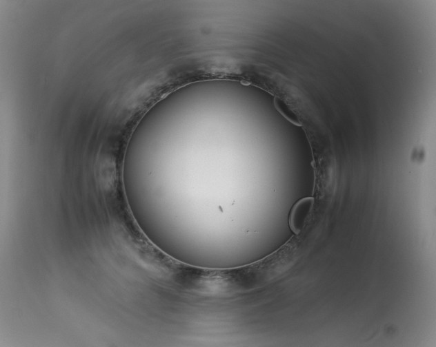 X0000113990704200910021223