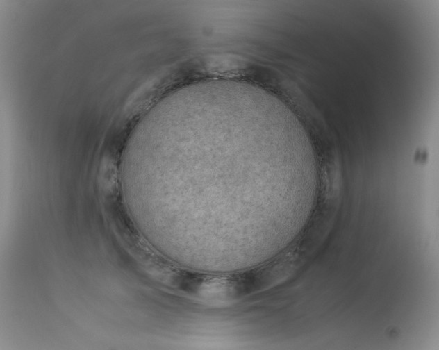 X0000113990705200910021223