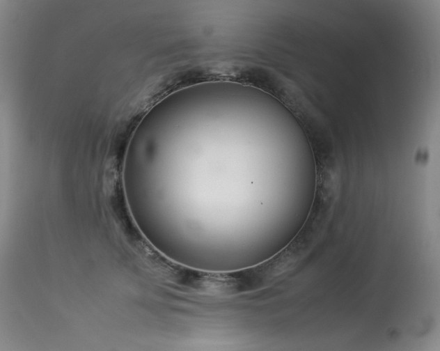 X0000113990707200910021223