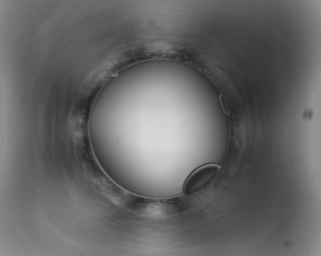 X0000113990708200910021223