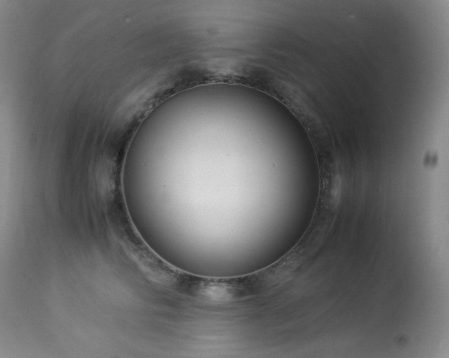 X0000113990710200910021223