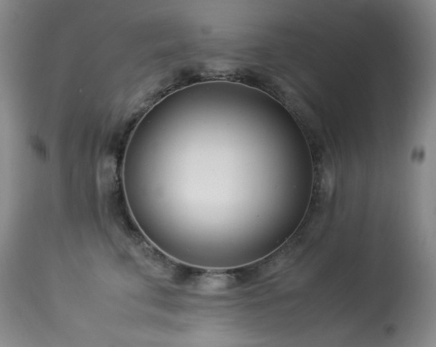 X0000113990711200910021223