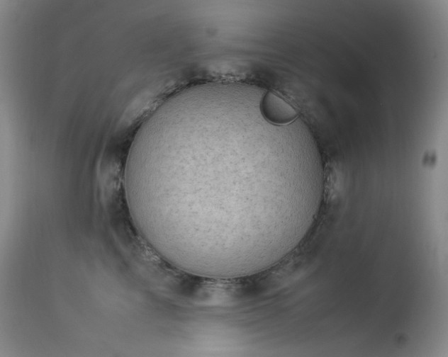 X0000113990713200910021223