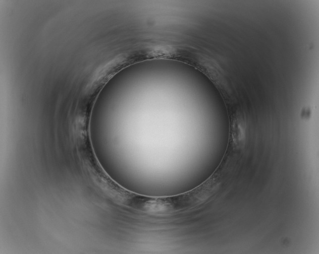 X0000113990714200910021223