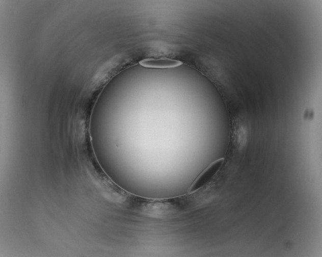 X0000113990716200910021223