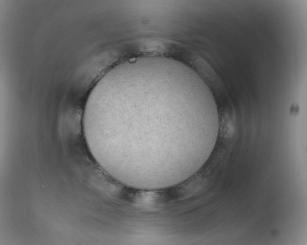 X0000113990717200910021222